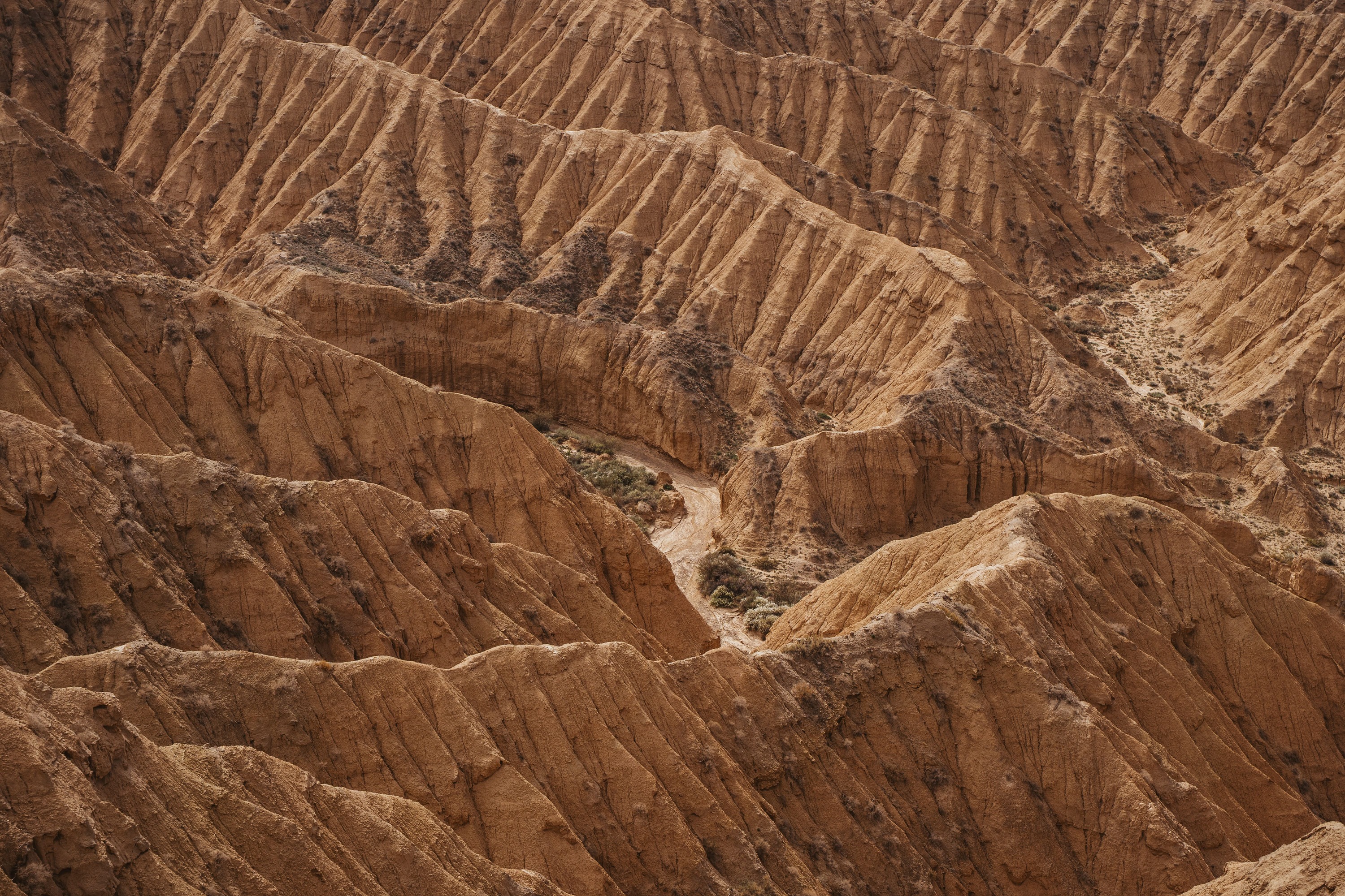 Landscape Photo 10